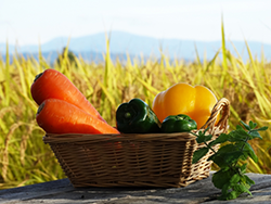 野菜
